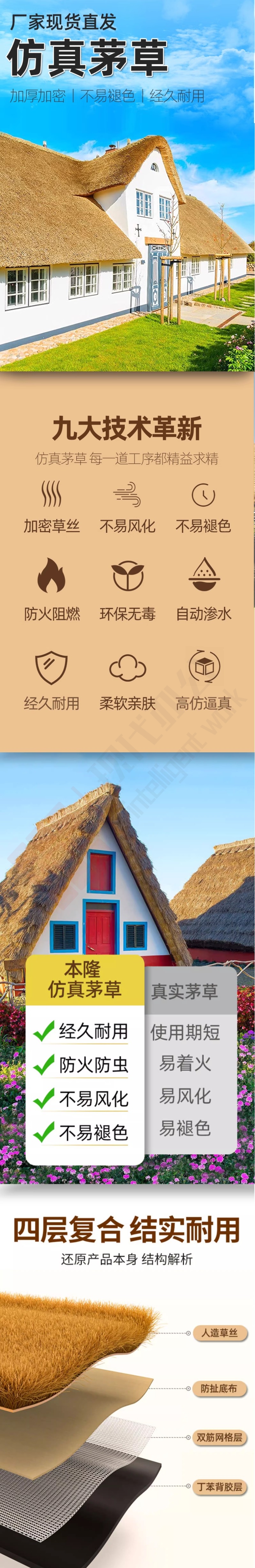 1730707471137.jpg